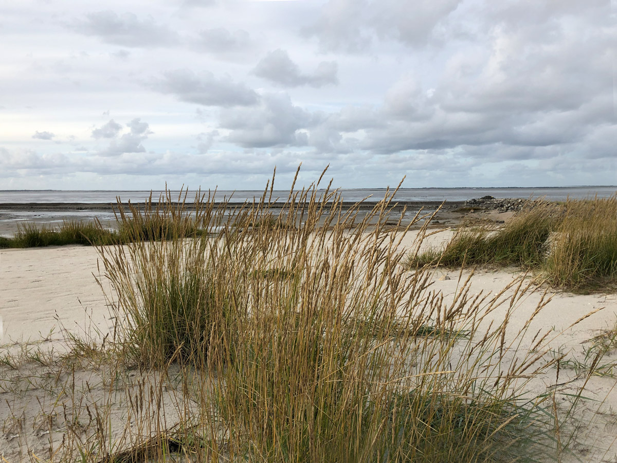 Neuharlingersiel Strand