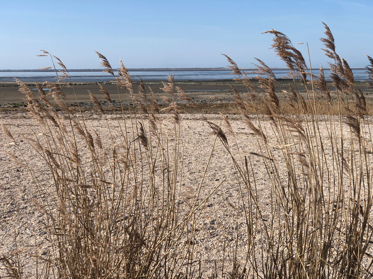 Neuharlingersiel Strand